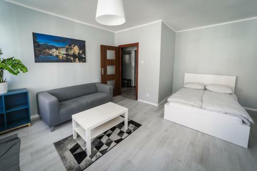 Silver Vision Apartment - Rynek 奥普尔 外观 照片